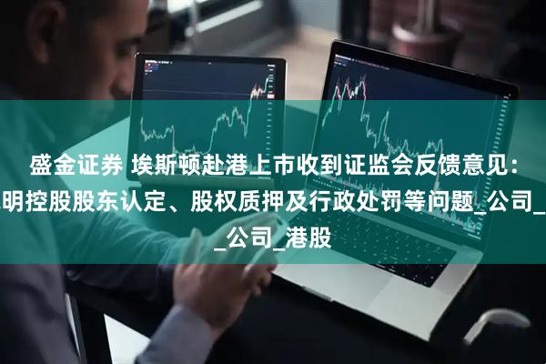 盛金证券 埃斯顿赴港上市收到证监会反馈意见：需说明控股股东认定、股权质押及行政处罚等问题_公司_港股