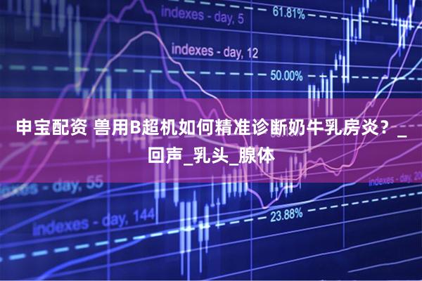申宝配资 兽用B超机如何精准诊断奶牛乳房炎？_回声_乳头_腺体