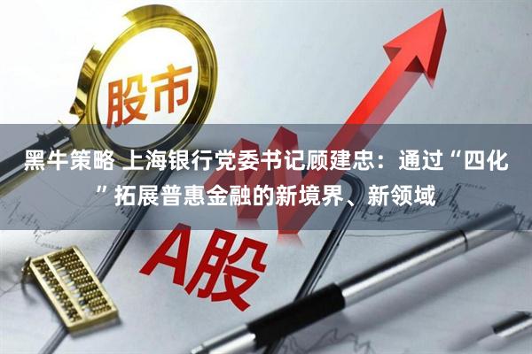 黑牛策略 上海银行党委书记顾建忠：通过“四化”拓展普惠金融的新境界、新领域
