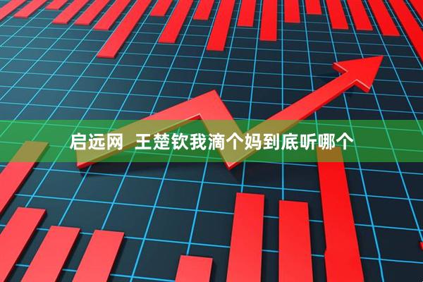 启远网  王楚钦我滴个妈到底听哪个