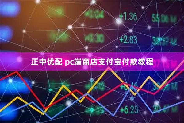 正中优配 pc端商店支付宝付款教程